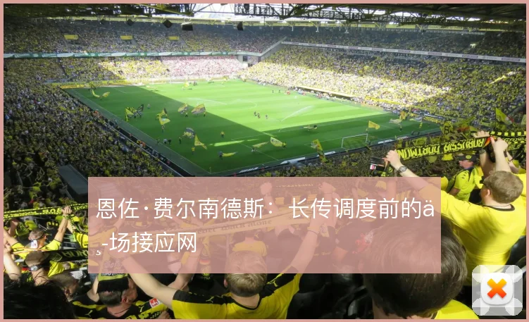 恩佐·费尔南德斯：长传调度前的中场接应网